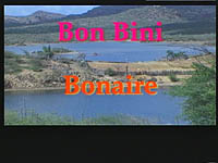 Bonbini dvd