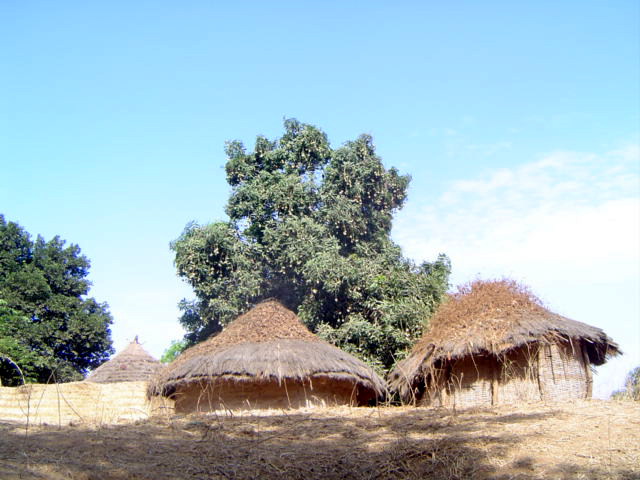 rural house guinea