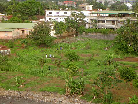 Tuintje Conakry