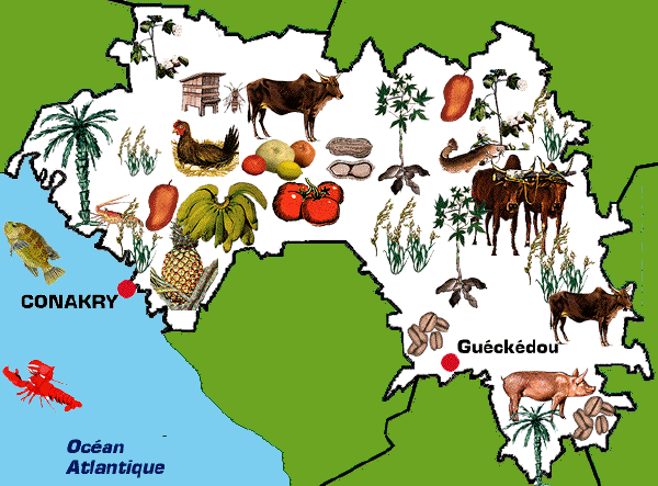 kaart Guinee