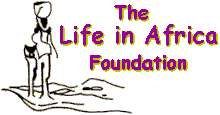Logo African Life
