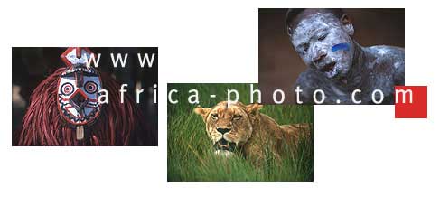 Africa Photo