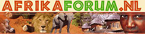 logo Africa Forum