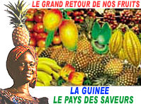 Welkom in Guinee