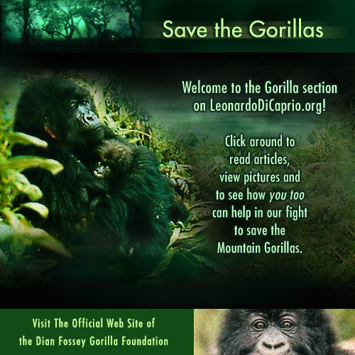 Leonardo di Caprio website Save the gorillas