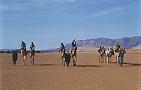 Phto: Desert Scene